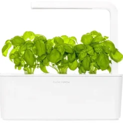 Clearance basilikum - 3 stk Indendørs Køkkenhaver|Click & Grow