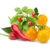 Sale frugt- og grøntsagsmix - 9 stk Indendørs Køkkenhaver|Click & Grow