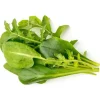 Hot grøn salat mix - 9 stk Indendørs Køkkenhaver|Click & Grow