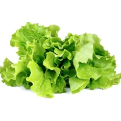 Online grøn salat - 3 stk Indendørs Køkkenhaver|Click & Grow