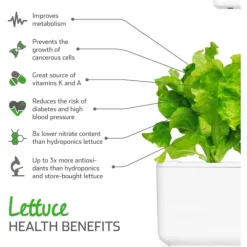 Online grøn salat - 3 stk Indendørs Køkkenhaver|Click & Grow