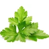 Best koriander - 3 stk Indendørs Køkkenhaver|Click & Grow
