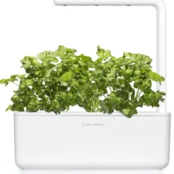 Best koriander - 3 stk Indendørs Køkkenhaver|Click & Grow