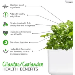 Best koriander - 3 stk Indendørs Køkkenhaver|Click & Grow