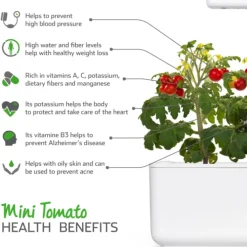 Clearance Mini tomater - 3 stk Indendørs Køkkenhaver|Click & Grow