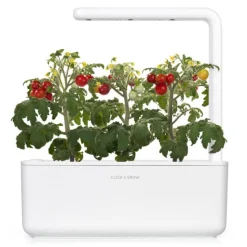 Clearance Mini tomater - 3 stk Indendørs Køkkenhaver|Click & Grow