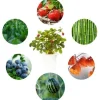 Best næring - 3 stk Indendørs Køkkenhaver|Click & Grow