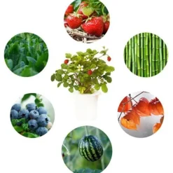 Best næring - 3 stk Indendørs Køkkenhaver|Click & Grow