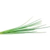 purløg - 3 stk Indendørs Køkkenhaver|Click & Grow
