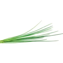 purløg - 3 stk Indendørs Køkkenhaver|Click & Grow