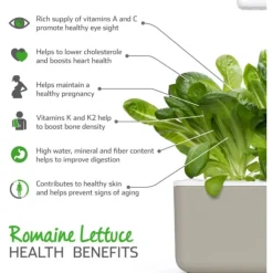 Hot romaine salat - 3 stk Indendørs Køkkenhaver|Click & Grow
