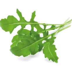 Outlet rucola - 3 stk Indendørs Køkkenhaver|Click & Grow