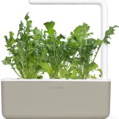 Outlet rucola - 3 stk Indendørs Køkkenhaver|Click & Grow