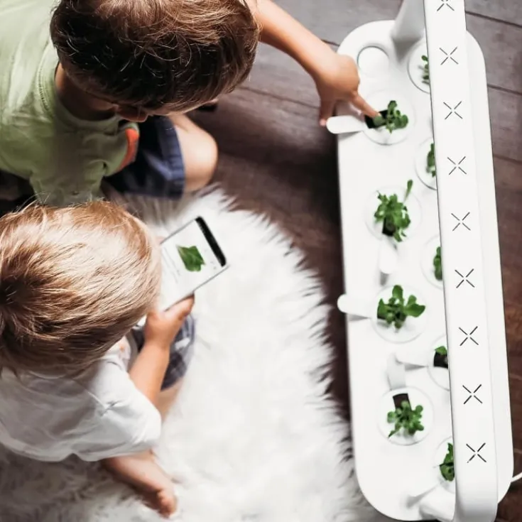 Clearance Smart Garden Pro startsæt, hvid Indendørs Køkkenhaver|Click & Grow