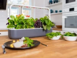 Smart Garden startsæt, Indendørs Køkkenhaver|Click & Grow
