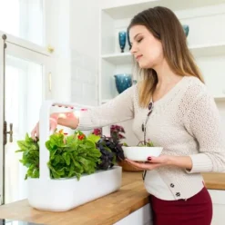 Smart Garden startsæt, Indendørs Køkkenhaver|Click & Grow