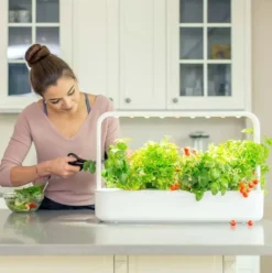 Smart Garden startsæt, Indendørs Køkkenhaver|Click & Grow