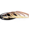 New COB udendørs LED strip, 15W, 2200K-6500K, 5 meter Led Strips