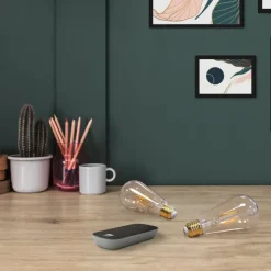 New Z E27 edisonpære med fjernbetjening, 2200K, 4,9W, 2-pak Lyskilder