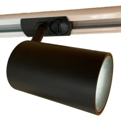 Sale Piccola Ritratta 1F skinnespot, Skinnespots