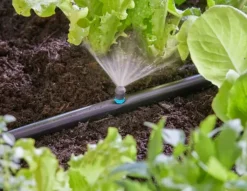 Online micro-drip Vandingssystemer
