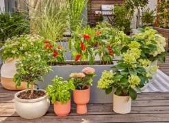 Online micro-drip terrassesæt til 30 planter Vandingssystemer