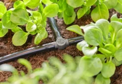 micro-drip T-stykke 4,6mm Vandingssystemer