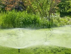 Pipeline SD80 pop-up sprinkler, 1/2