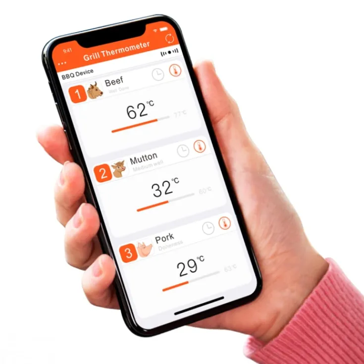 Grill'n'Go Master 5.0 stegetermometer Elektronik Til Boligen