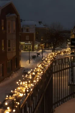 Clearance Cluster udendørs lyskæde, 600 varm hvide lys, 13,18 meter Udendørs Julelys