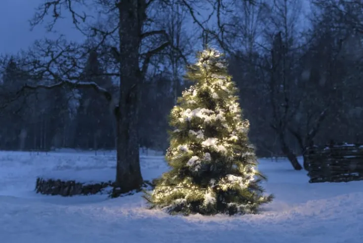 Discount Cluster udendørs lyskæde, 960 varm hvide lys, 7,2 meter Udendørs Julelys