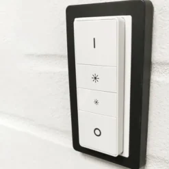 Sale LAB3D indsats til Philips Hue V1 dimmer med LK Design ramme Base 63, Rammer