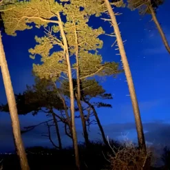 Sale Juuliane udendørs spot, 3W Udendørs Spots