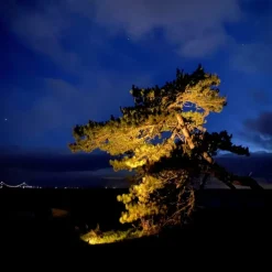 Sale Juuliane udendørs spot, 3W Udendørs Spots