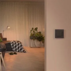 Outlet Pure kontakt/lysdæmper til Philips Hue, sort stål Lysdæmpere