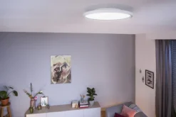 Clearance Aurelle plafond, Philips Hue|Philips Hue