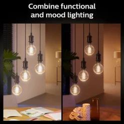 White Ambiance E27 globepære, 2200K-6500K, 7W, Lyskilder|Philips Hue