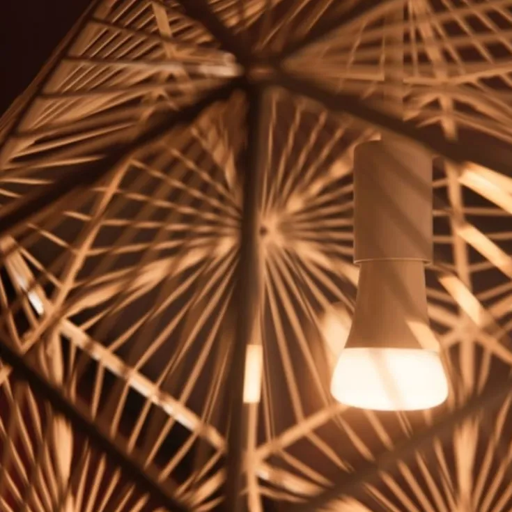 White Ambiance E27 standardpære, 2200K-6500K, 8W, 2-pak Lyskilder|Philips Hue