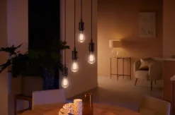 Best White E27 edisonpære, 2100K, 7W, Lyskilder|Philips Hue