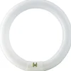 Clearance Master TL-E cirkulært lysstofrør, G10q, 40W, 3000K Lysstofrør