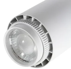 Rex 2 skinnespot 3F, Skinnespots
