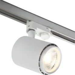 Rex 2 skinnespot 3F, Skinnespots
