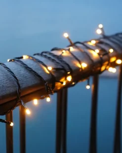Best Top-Line Energy udendørs lyskæde, 100 varm hvide lys, 10 meter, forlænger Udendørs Julelys|Sirius