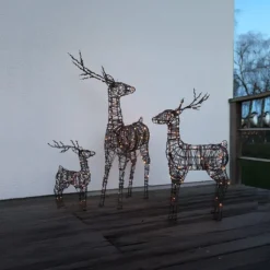 Clearance Vixen rensdyr, Udendørs Julelys